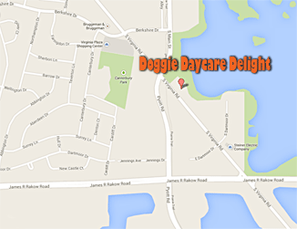 Doggie Daycare Delight location map
