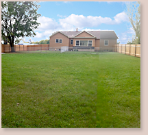 DoggieDaycareDelight outdoor play area